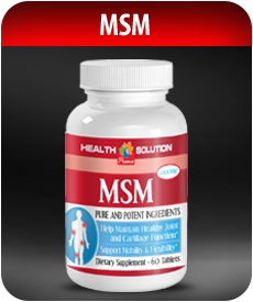 MSM by Vitamin Prime